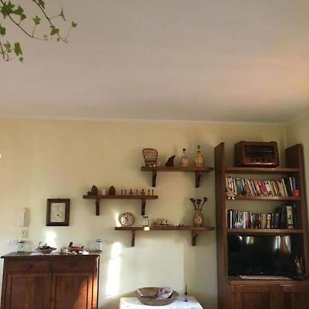 Il Mondo Magico - Immerso Nella Natura - Fauglia Εξωτερικό φωτογραφία